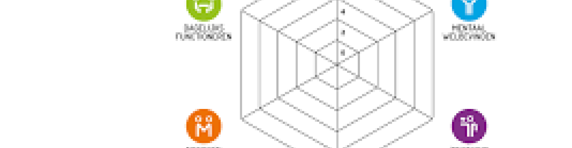 spinnenweb